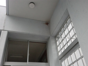 Cimg0612