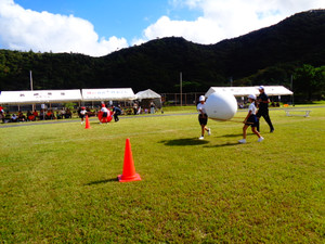 Dsc06451 Dsc06451